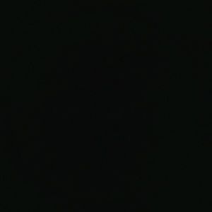 Meet your Posher, Felipe